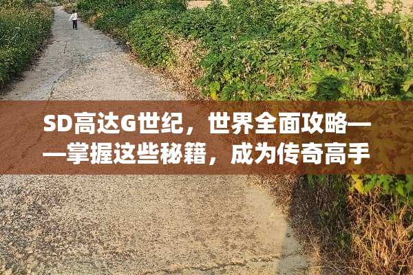 SD高达G世纪，世界全面攻略——掌握这些秘籍，成为传奇高手！ sd高达g世纪世界攻略
