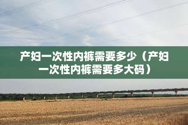 产妇一次性**需要多少(产妇一次性**需要多大码) 产妇一次性**需要多少(产妇一次性**需要多大码)