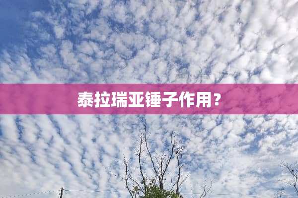 泰拉瑞亚锤子作用？