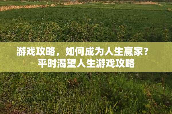 游戏攻略，如何成为人生赢家？ 平时渴望人生游戏攻略