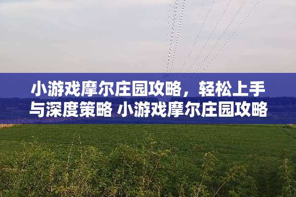 小游戏摩尔庄园攻略，轻松上手与深度策略 小游戏摩尔庄园攻略