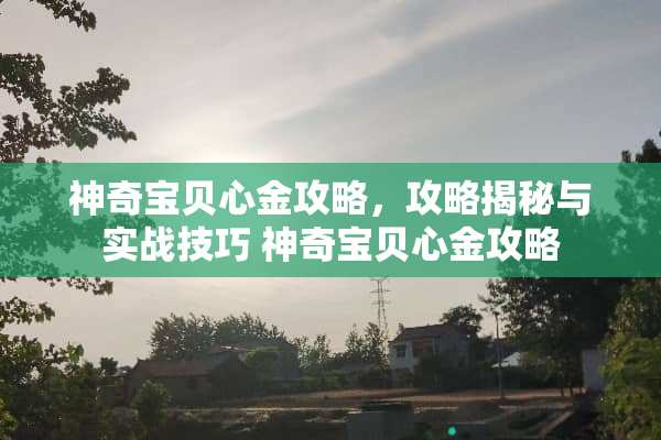 神奇宝贝心金攻略，攻略揭秘与实战技巧 神奇宝贝心金攻略