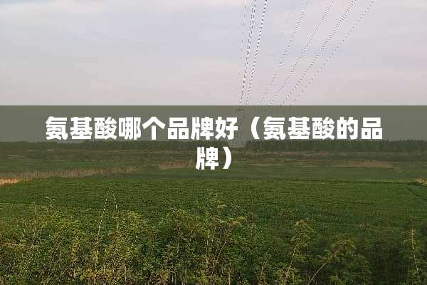 氨基酸哪个品牌好(氨基酸的品牌) 氨基酸哪个品牌好(氨基酸的品牌)