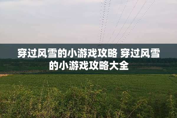 穿过风雪的小游戏攻略 穿过风雪的小游戏攻略大全 穿过风雪的小游戏攻略 穿过风雪的小游戏攻略大全