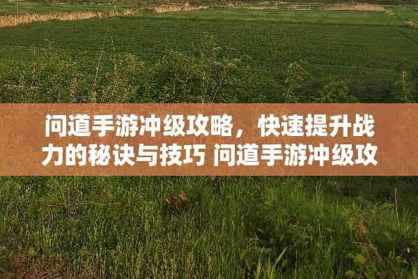 问道手游冲级攻略,快速提升战力的秘诀与技巧 问道手游冲级攻略 问道手游冲级攻略,快速提升战力的秘诀与技巧 问道手游冲级攻略