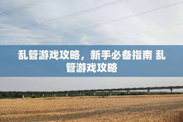 乱管游戏攻略,新手必备指南 乱管游戏攻略 乱管游戏攻略,新手必备指南 乱管游戏攻略