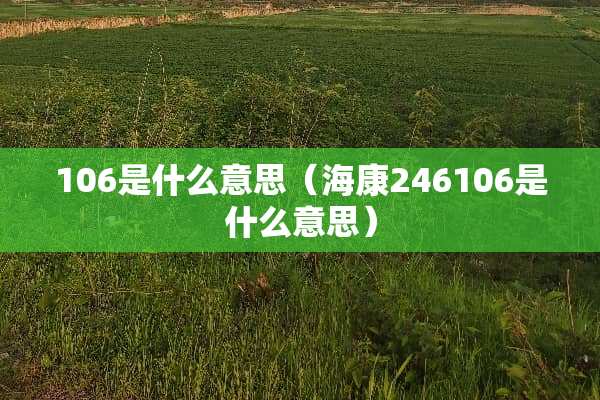106是什么意思（海康246106是什么意思）