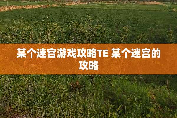 某个迷宫游戏攻略TE 某个迷宫的攻略 某个迷宫游戏攻略TE 某个迷宫的攻略