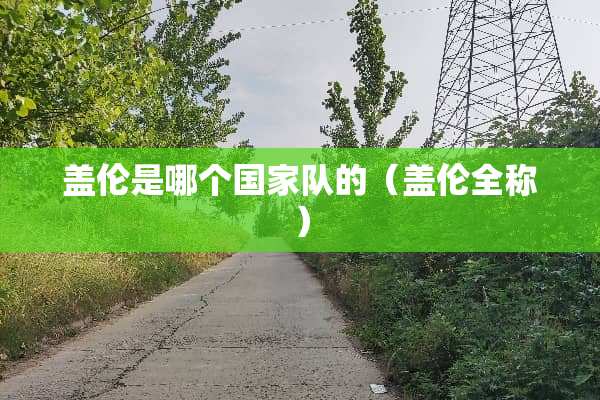 盖伦是哪个国家队的(盖伦全称) 盖伦是哪个国家队的(盖伦全称)