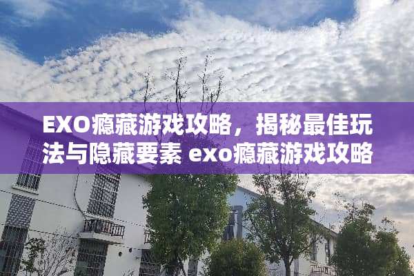 EXO瘾藏游戏攻略，揭秘最佳玩法与隐藏要素 exo瘾藏游戏攻略