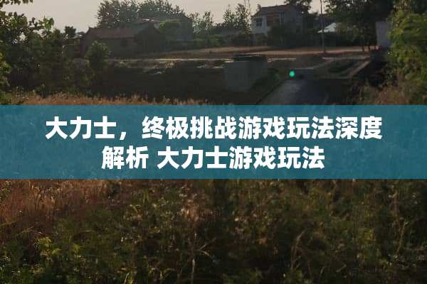 大力士，终极挑战游戏玩法深度解析 大力士游戏玩法