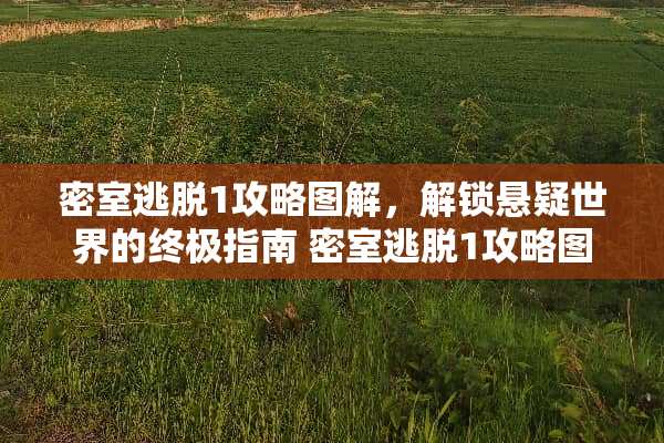 密室逃脱1攻略图解,解锁悬疑世界的终极指南 密室逃脱1攻略图解 密室逃脱1攻略图解,解锁悬疑世界的终极指南 密室逃脱1攻略图解