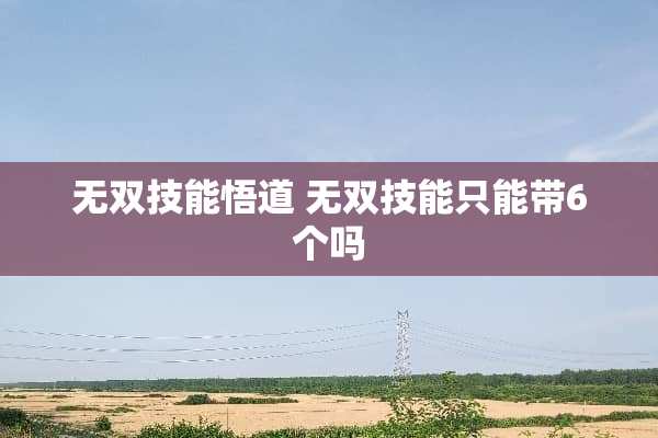 无双技能悟道 无双技能只能带6个吗 无双技能悟道 无双技能只能带6个吗