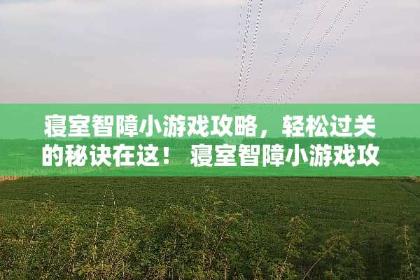 寝室智障小游戏攻略，轻松过关的秘诀在这！ 寝室智障小游戏攻略