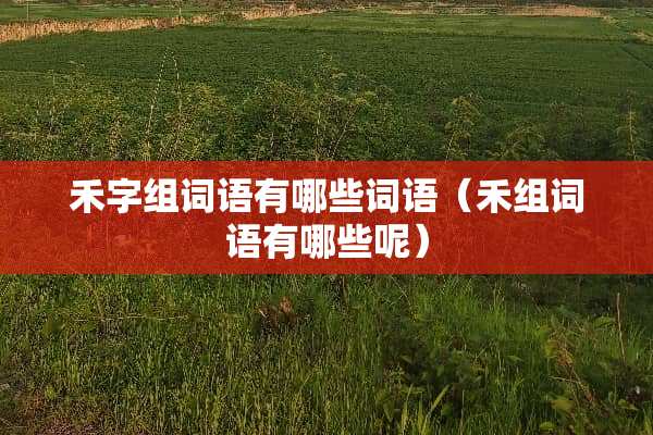 禾字组词语有哪些词语（禾组词语有哪些呢）