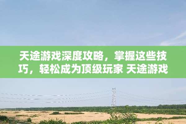 天途游戏深度攻略，掌握这些技巧，轻松成为顶级玩家 天途游戏攻略