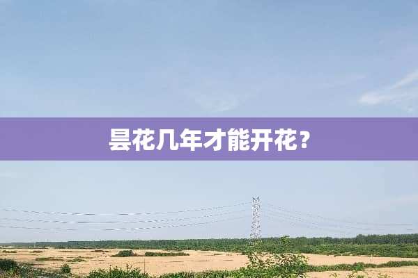 昙花几年才能开花？