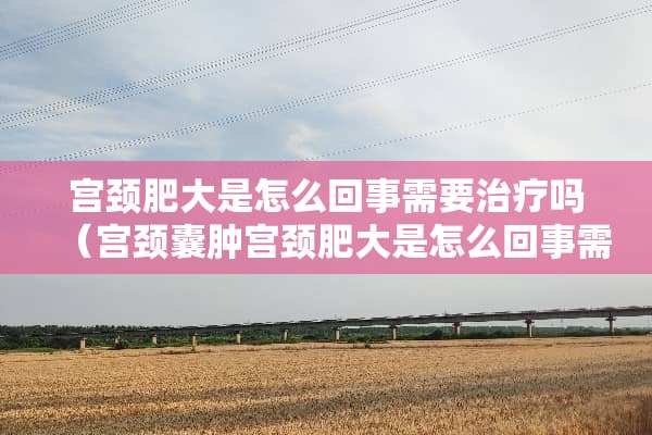 宫颈肥大是怎么回事需要治疗吗(宫颈囊肿宫颈肥大是怎么回事需要治疗吗) 宫颈肥大是怎么回事需要治疗吗(宫颈囊肿宫颈肥大是怎么回事需要治疗吗)