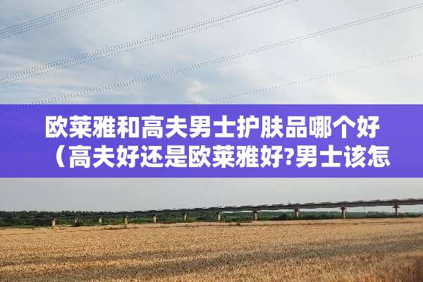 欧莱雅和高夫男士护肤品哪个好(高夫好还是欧莱雅好?男士该怎么选择) 欧莱雅和高夫男士护肤品哪个好(高夫好还是欧莱雅好?男士该怎么选择)