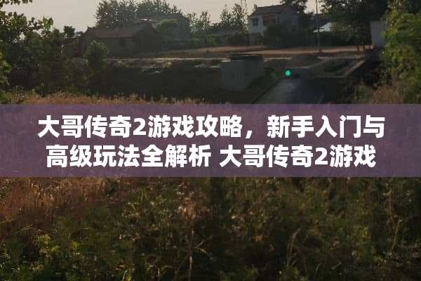大哥传奇2游戏攻略，新手入门与高级玩法全解析 大哥传奇2游戏攻略