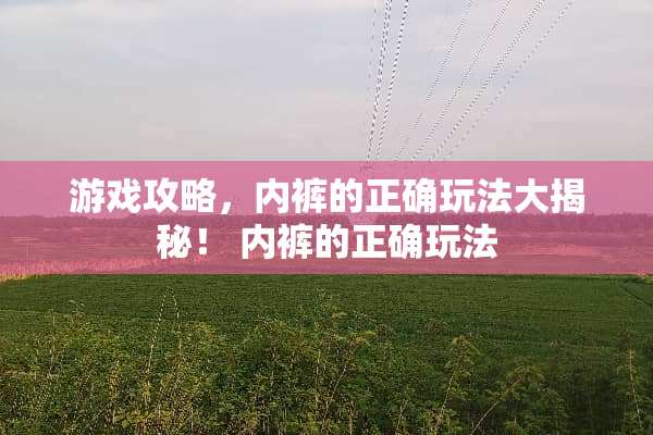游戏攻略,**的正确玩法大揭秘!**的正确玩法 游戏攻略,**的正确玩法大揭秘!**的正确玩法