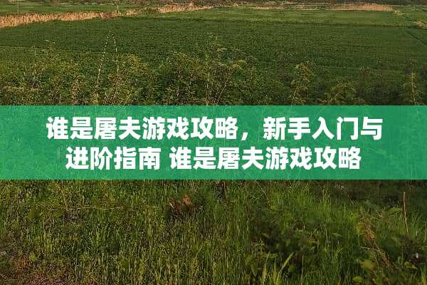 谁是屠夫游戏攻略，新手入门与进阶指南 谁是屠夫游戏攻略