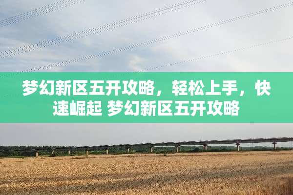 梦幻新区五开攻略,轻松上手,快速崛起 梦幻新区五开攻略 梦幻新区五开攻略,轻松上手,快速崛起 梦幻新区五开攻略