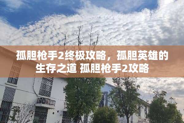 孤胆*手2终极攻略,孤胆英雄的生存之道 孤胆*手2攻略 孤胆*手2终极攻略,孤胆英雄的生存之道 孤胆*手2攻略