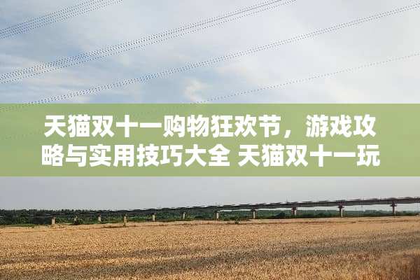 天猫双十一购物狂欢节，游戏攻略与实用技巧大全 天猫双十一玩法