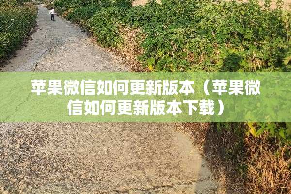 苹果微信如何更新版本(苹果微信如何更新版本下载) 苹果微信如何更新版本(苹果微信如何更新版本下载)