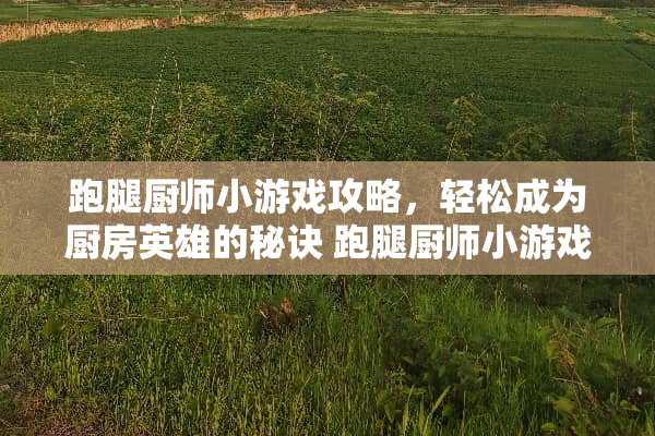 跑腿厨师小游戏攻略，轻松成为厨房英雄的秘诀 跑腿厨师小游戏攻略