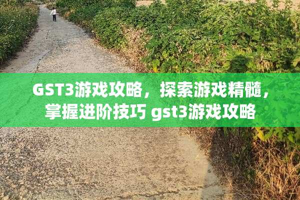 GST3游戏攻略,探索游戏精髓,掌握进阶技巧 gst3游戏攻略 GST3游戏攻略,探索游戏精髓,掌握进阶技巧 gst3游戏攻略