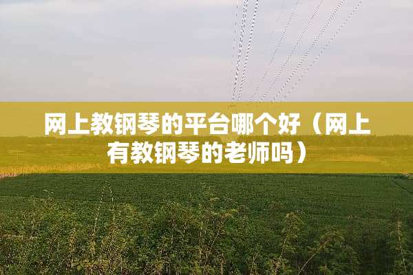 网上教钢琴的平台哪个好(网上有教钢琴的老师吗) 网上教钢琴的平台哪个好(网上有教钢琴的老师吗)