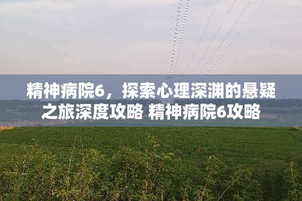 精神病院6，探索心理深渊的悬疑之旅深度攻略 精神病院6攻略