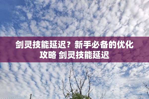 剑灵技能延迟？新手必备的优化攻略 剑灵技能延迟