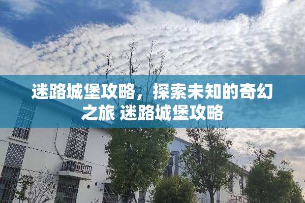 迷路城堡攻略，探索未知的奇幻之旅 迷路城堡攻略