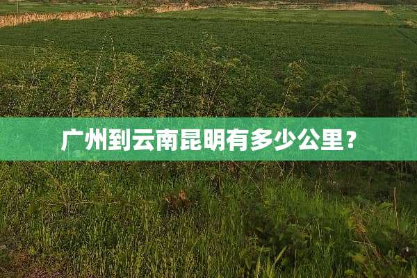 广州到云南昆明有多少公里？