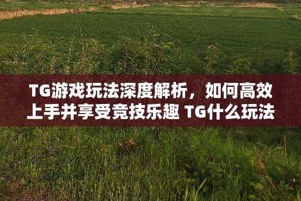 TG游戏玩法深度解析，如何高效上手并享受竞技乐趣 TG什么玩法