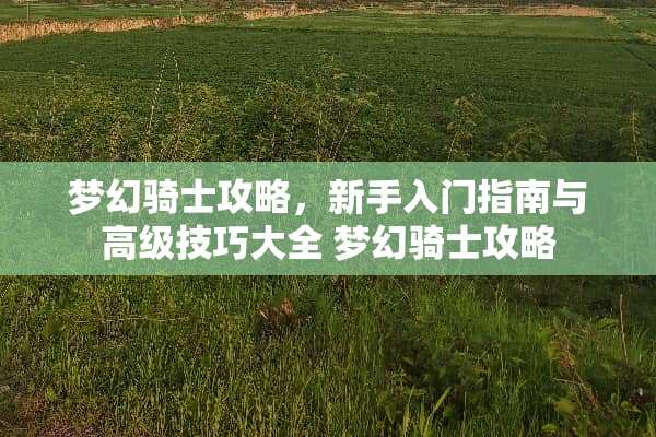 梦幻骑士攻略,新手入门指南与高级技巧大全 梦幻骑士攻略 梦幻骑士攻略,新手入门指南与高级技巧大全 梦幻骑士攻略