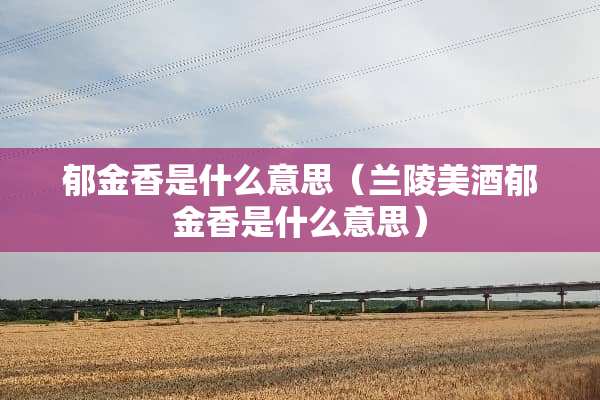 郁金香是什么意思（兰陵美酒郁金香是什么意思）