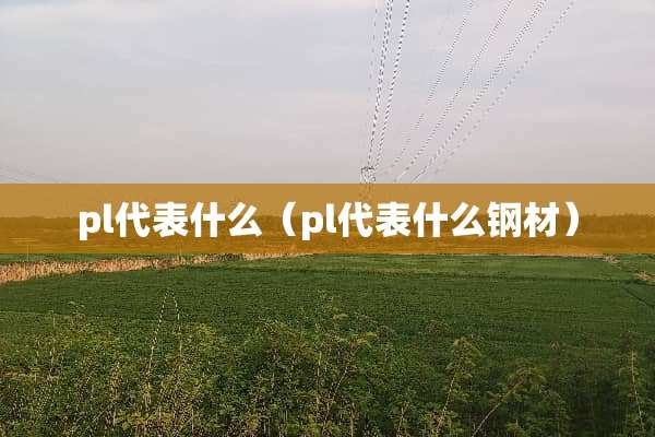 pl代表什么（pl代表什么钢材）