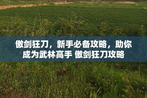 傲剑狂刀，新手必备攻略，助你成为武林高手 傲剑狂刀攻略