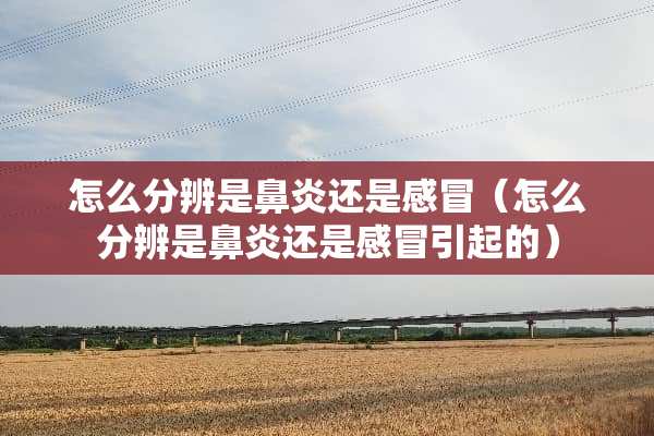 怎么分辨是鼻炎还是感冒(怎么分辨是鼻炎还是感冒引起的) 怎么分辨是鼻炎还是感冒(怎么分辨是鼻炎还是感冒引起的)