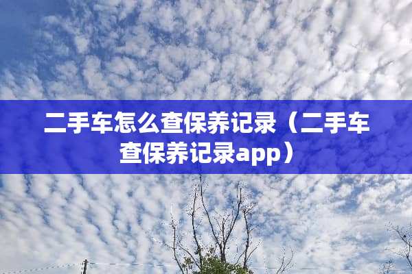 二手车怎么查保养记录（二手车查保养记录app）
