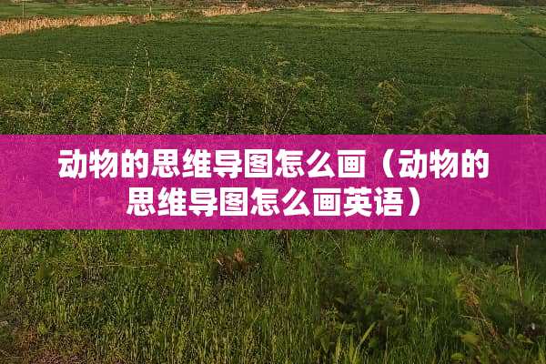 动物的思维导图怎么画（动物的思维导图怎么画英语）