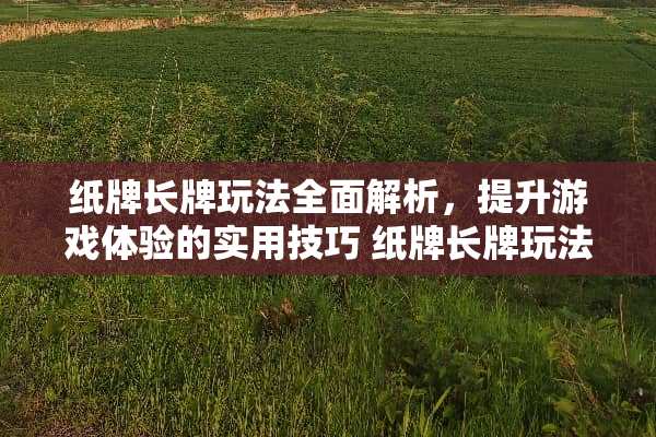 纸牌长牌玩法全面解析，提升游戏体验的实用技巧 纸牌长牌玩法