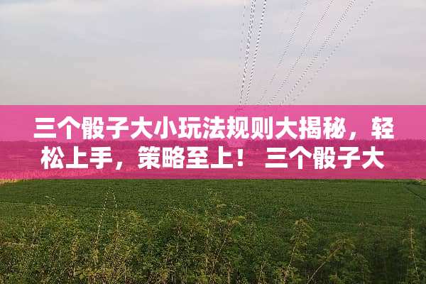 三个骰子大小玩法规则大揭秘，轻松上手，策略至上！ 三个骰子大小玩法规则