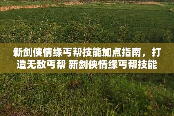 新剑侠情缘丐帮技能加点指南，打造无敌丐帮 新剑侠情缘丐帮技能加点