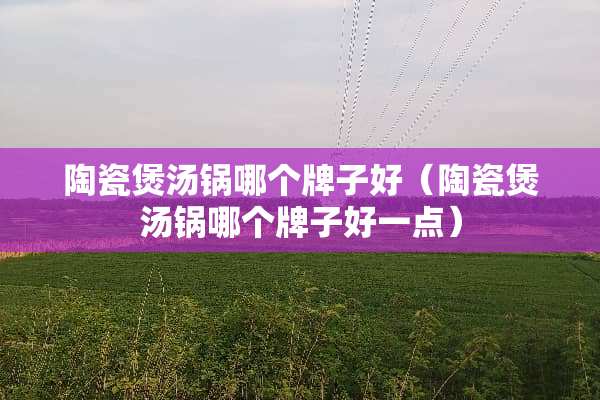 陶瓷煲汤锅哪个牌子好（陶瓷煲汤锅哪个牌子好一点）