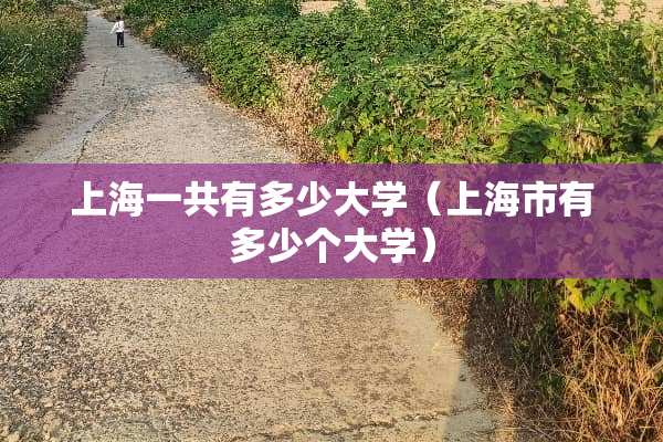 上海一共有多少大学(上海市有多少个大学) 上海一共有多少大学(上海市有多少个大学)